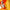 Aktionsbanner