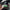 Aktionsbanner