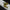 Aktionsbanner