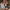 Aktionsbanner