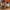 Aktionsbanner