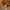 Aktionsbanner